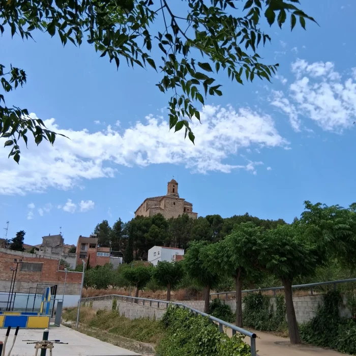 20250625_134842 20250625_134842