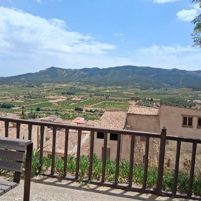 20250625_135759 20250625_135759